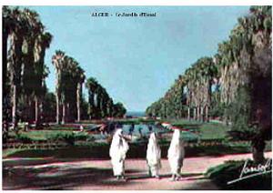 ALGER 079 LE JARDIN D ESSAI EN COULEUR